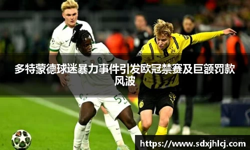 多特蒙德球迷暴力事件引发欧冠禁赛及巨额罚款风波